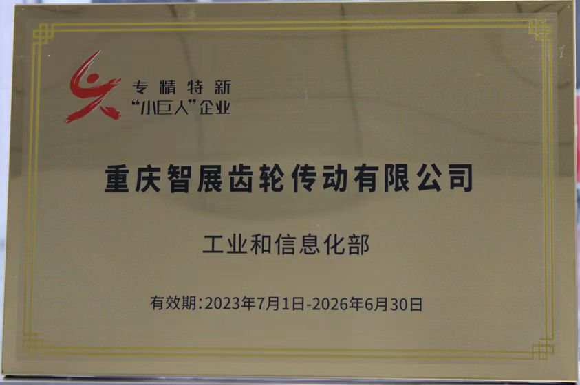 专精特新“小巨人”企业